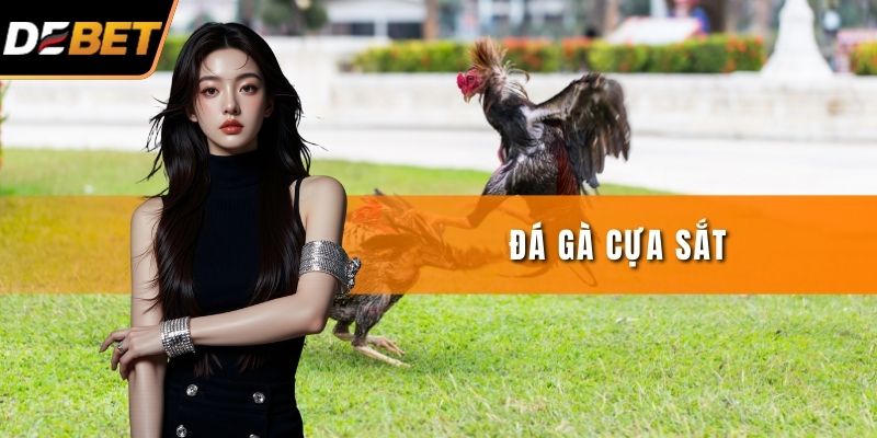 Đá Gà Cựa Sắt - Kinh Nghiệm Cược Theo Diễn Biến Thực Tế